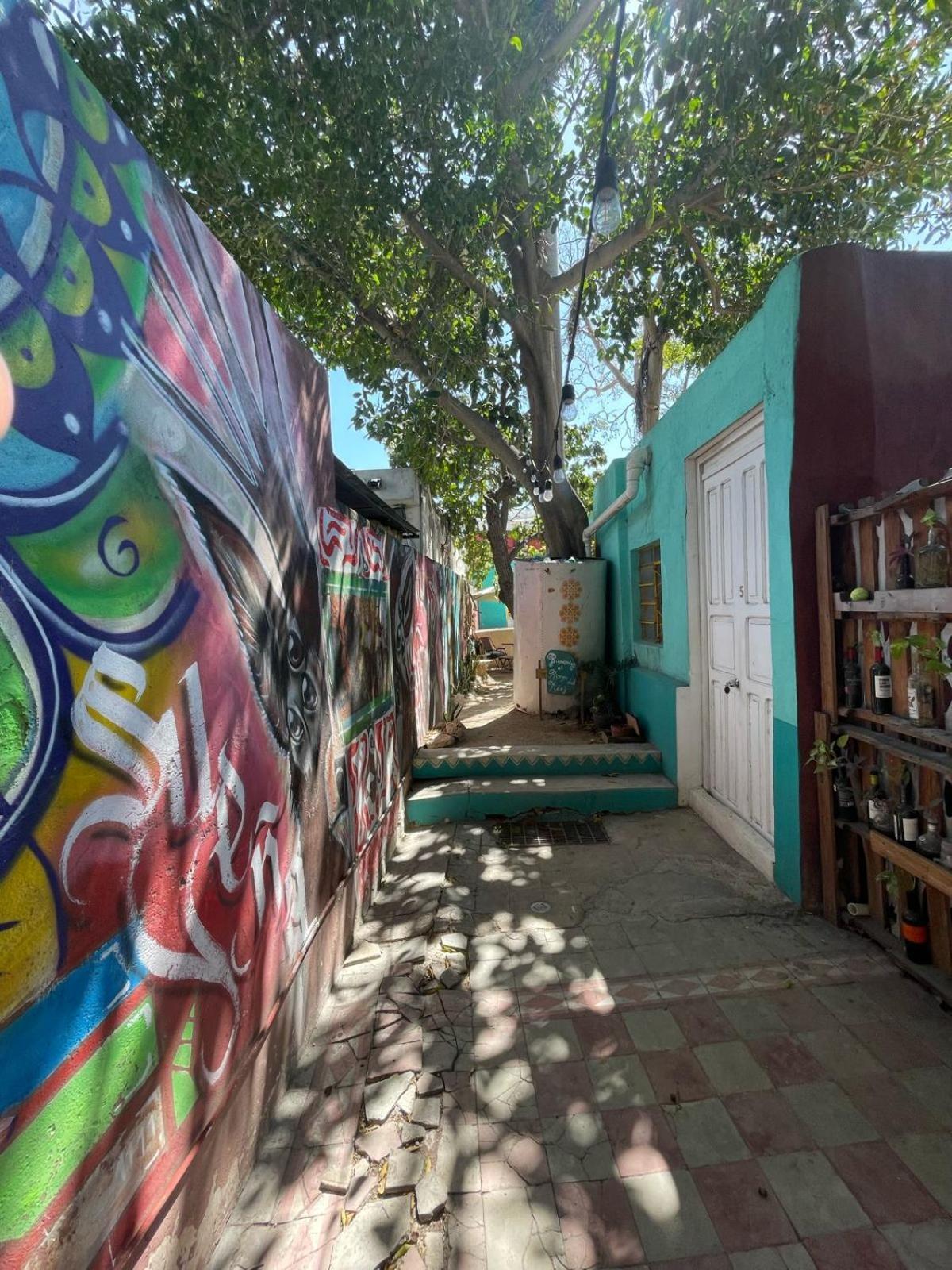 La Casa del Kéej Hostel Mérida Esterno foto