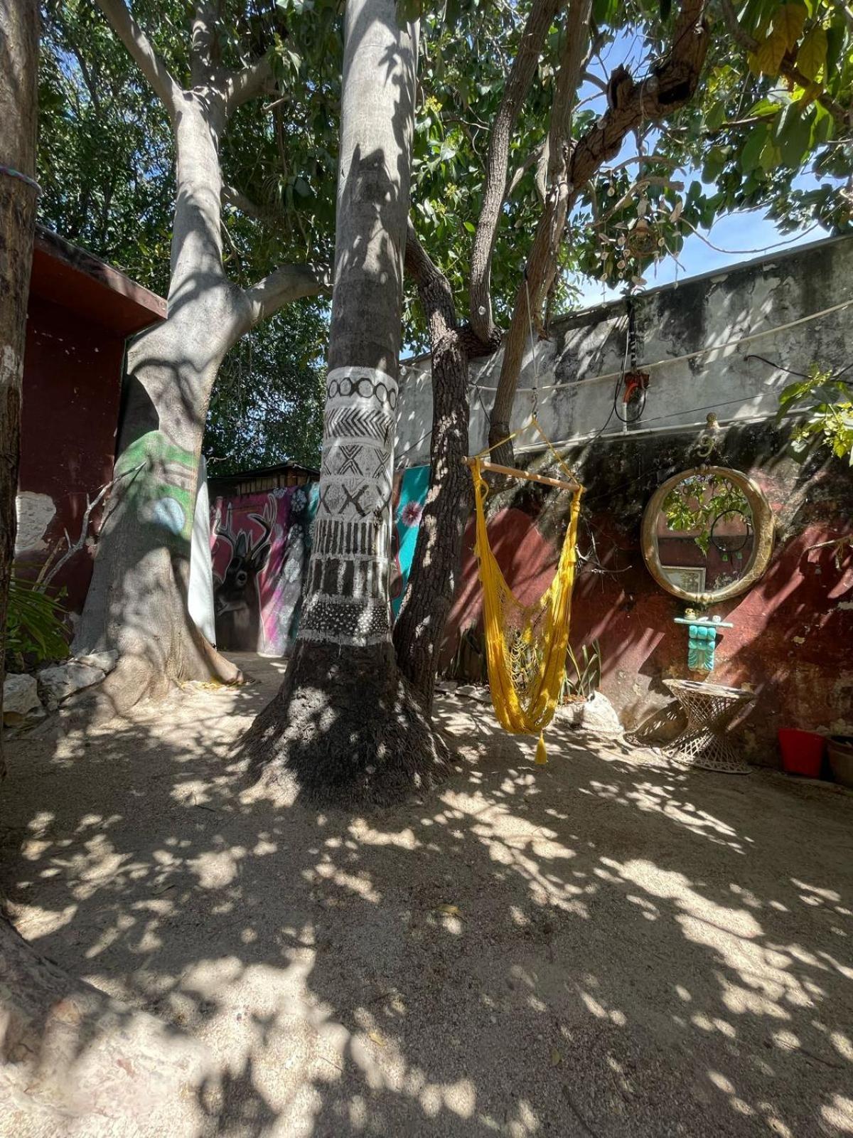 La Casa del Kéej Hostel Mérida Esterno foto
